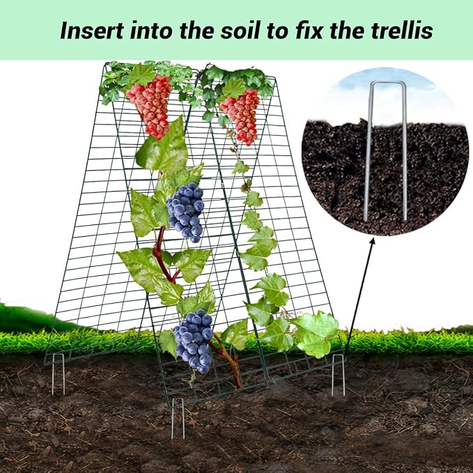 Metal Garden Trellis for Climbing Plants A Frame Plant Support 34x48in (1pack)