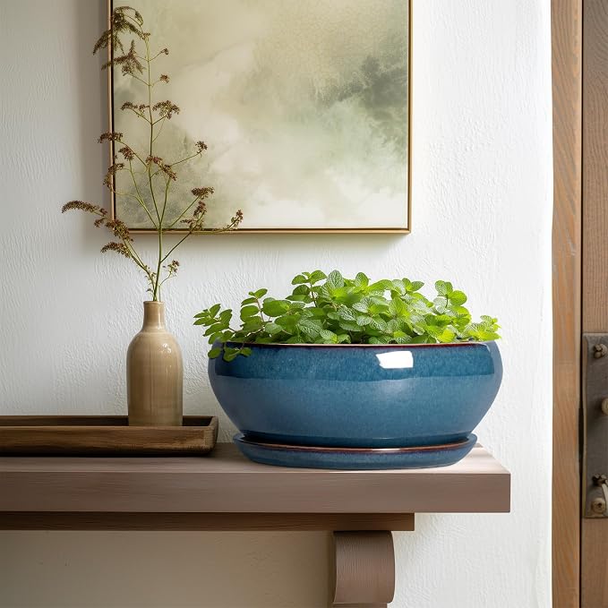 SQOWL Bonsai Pots 10 Inch - Large Ceramic Succulent Pots, Shallow Planter with Drainage Hole and Saucer, Round Planter for Indoor Outdoor, Bowl Planters, Patio Decor, Gifts for Plant Lover, Blue