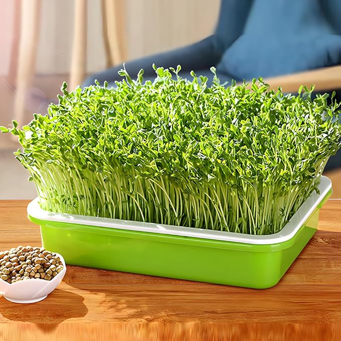 Seed Sprouter Tray with Lid BPA Free PP Sprouting Kit for Beans, Wheatgrass | Food-Grade PP, Soil-Free Large Capacity, Drainage Sprouting Kit for Mung Beans, Microgreens & Hydroponic Growing