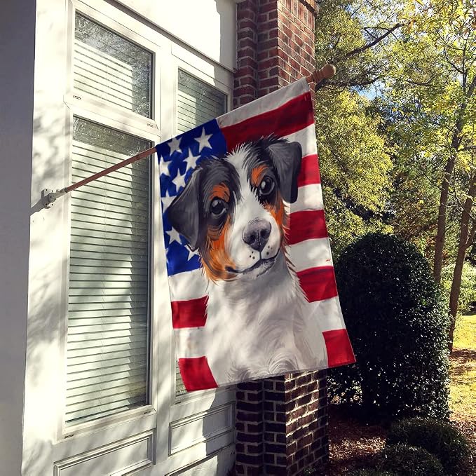 Caroline's Treasures CK6502CHF Danish-Swedish Farmdog American Flag House Flag Large Porch Sleeve Pole Decorative Outside Yard Banner Artwork Wall Hanging, Polyester, House Size, Multicolor