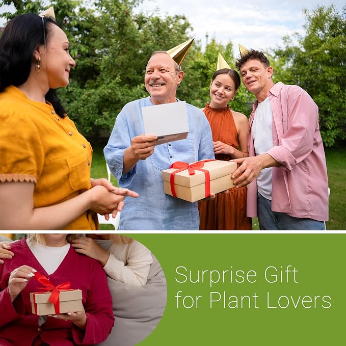 XXXFLOWER Wall Hanging Propagation Station with 3 Star-Shaped Glass Vase, Plants Propagation Stations for Hydroponics Living Room Office Decoration,Unique Gardening Gifts for Plant Lover