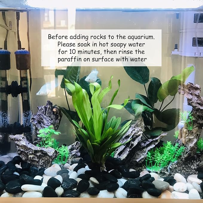 FANTIAN 2lbs Black Pebbles for Indoor Plants, 0.8-1.2 inch Polished Stones. Decorative Black River Rocks for Potted Plants Vase Aquarium Landscaping and Outdoor Garden