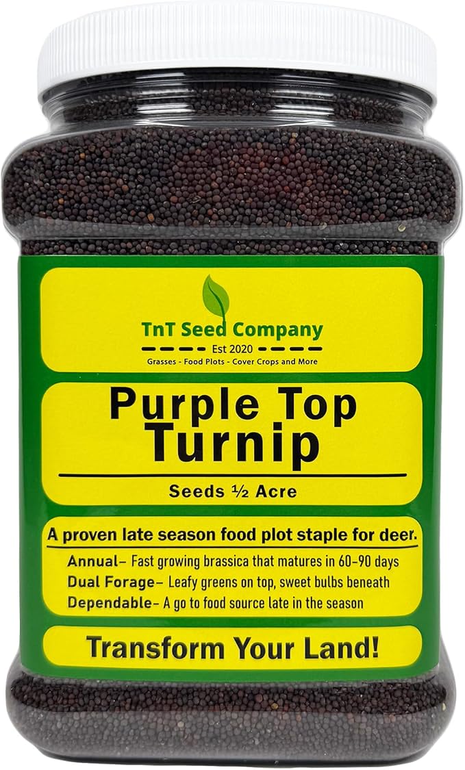 Purple Top Turnip Food Plot Seed for Planting - High Protein Brassica Deer Forage, Fast Growing Fall Annual Food Plot Seed, Plants Up to 1/2 Acre - 3 lb Jug