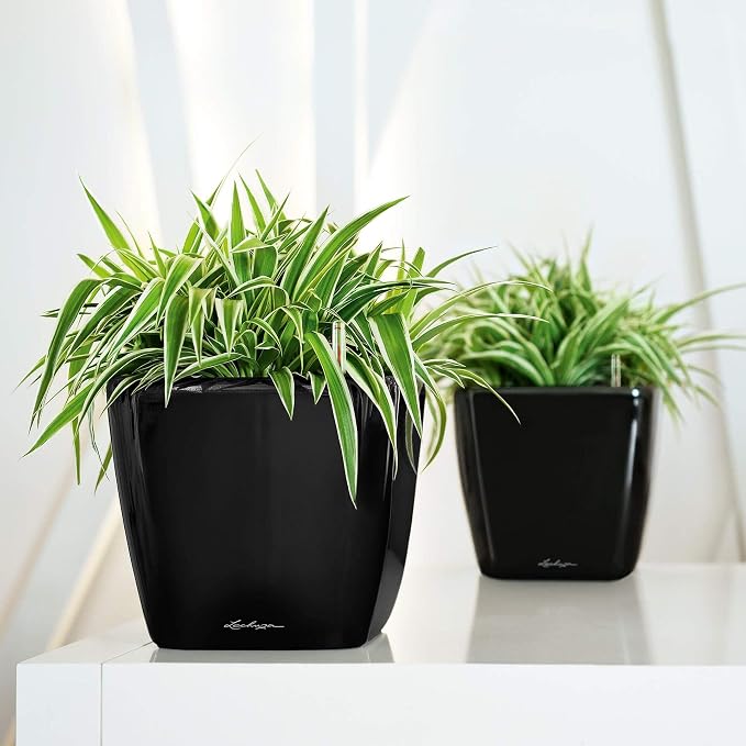 Lechuza Quadro LS 21 Charcoal Metallic, Self-Watering Square Planter, H7.9 L8.3 W8.3 in