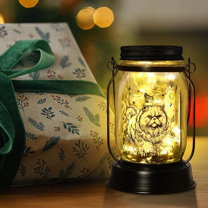 Persian Cat Gifts for Women/Men Persian Cat Solar Lanterns Gifts for Grandma Women Mom Sister, Pet Lovers Lantern Pet loss Memorial Light Solar Garden Decoration Outside for Yard, Patio,Backyard,Porch