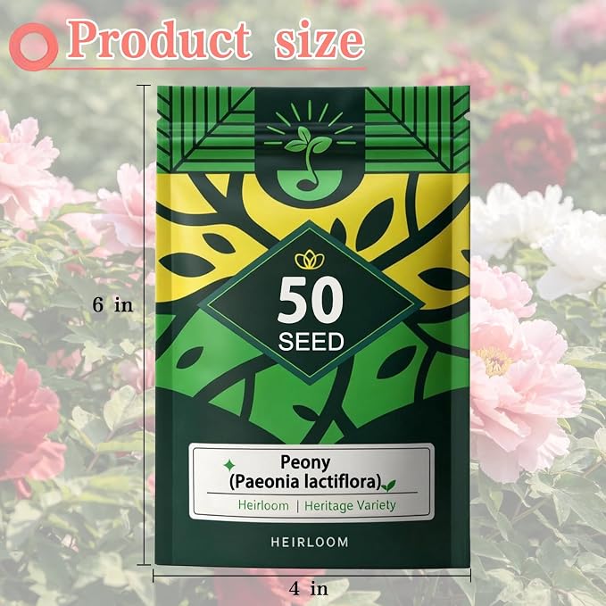 Peony Seeds (Paeonia lactiflora), Long-Lived Perennial Flowers, Large Fragrant Blooms, Lush Double-Style Landscape Focal Point, Pack of 50 Seeds