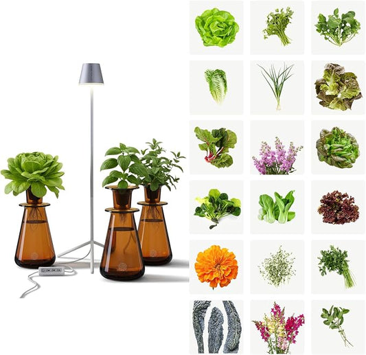 Lettuce Grow Counterstand Hydroponics Growing System Kit with LED Light, Indoor Gardening System for Herbs and Greens, Compact Hydroponic Countertop Planter Set | 3 Seedlings, Hydroponic Herb Grower, Space-Saving Countertop, Adjustable Lighting