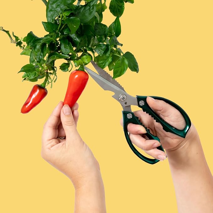 Gardyn Harvest Kit - Hydroponic Plant Care Tools | For growing, trimming and harvesting, scissors, herb cutter, tweezers, cleaning brush, measuring spoon & accessories