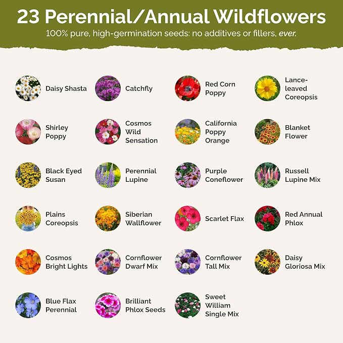 Eden Brothers Northeast Wildflower Mixed Seeds for Planting, 10 lb, 4,800,000+ Seeds with Cosmos, Candytuft, Shasta Daisy | Attracts Pollinators, Plant in Spring or Fall, Zones 3, 4, 5, 6, 7, 8, 9, 10