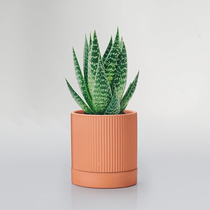 HERDUK Small Modern Terracotta Pots, 4.2 Inch Ribbed Textured Clay Planter Pots with Drainage Hole & Saucer, Garden Pots for Indoor Plants Succulent, Cacti & Fern, Set of 2