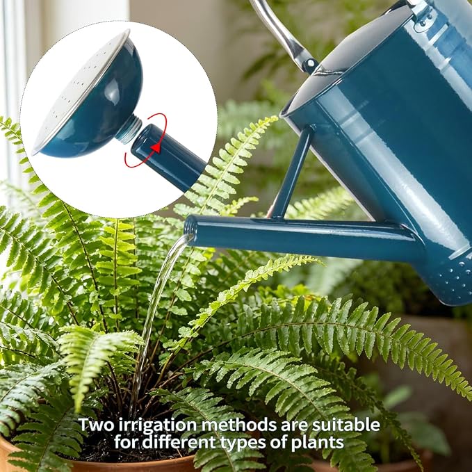 2 Gallon Meltal Garden Watering Can Removable Spout, Galvanized Steel Large Water Can with Embossed Design for Outdoor Indoor Plants (Ocean Blue, 2 Gallon)