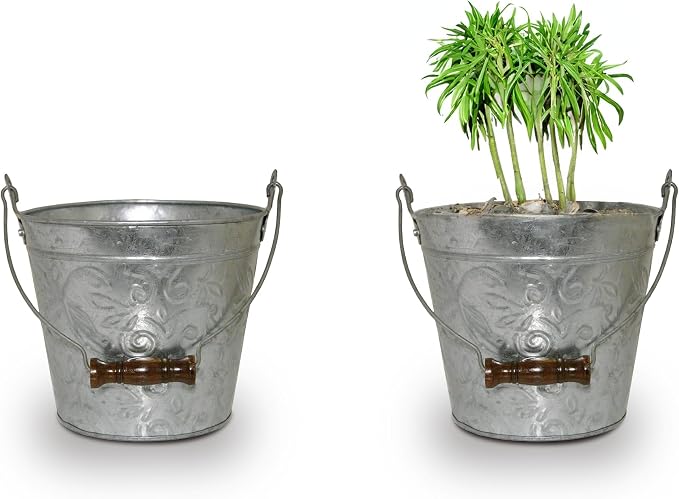 Headwind Vintage Collection - Floral Galvanized Planter with Handles – 12 Inch Flower Pots Decorative Plant Indoor – Plant Pots Indoor with Drainage By Robert Allen