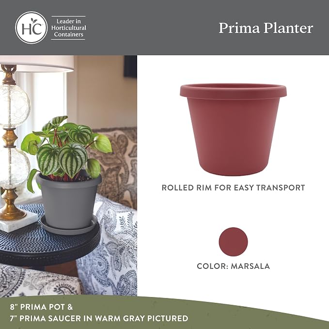 The HC Companies Prima Round Plastic Plant Pot w/Rolled Rim - Lightweight & UV Resistant Flower Pot for Herbs & More - Outdoor & Indoor Plant Pots w/Drainage (6 inch, Marsala, Pack of 1)