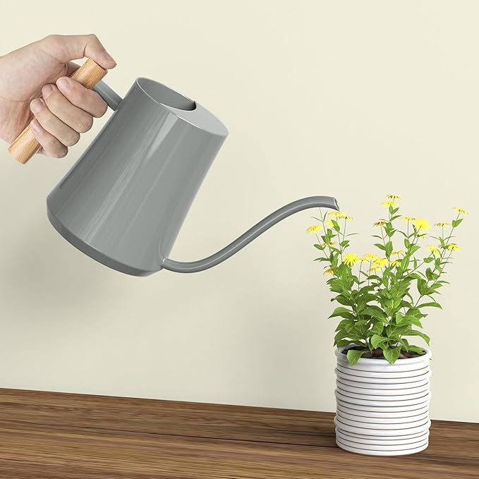 Green Moon 1L/35oz Metal Watering Can Indoor with Long Spout, Gray | Metal Stainless Steel Watering Can with Wood Handle for Indoor Plants, House Bonsai, Succulents, and Outdoor Garden Flowers