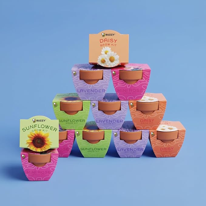 Buzzy Seeds Bright Series Grow Kit, Assorted 12-Pack - Mini Terracotta Pot Grow Set - Complete Indoor/Outdoor Gardening Kit with Seeds, Coconut Husk Growing Medium & Genuine Pots - 100% Grow Guarantee