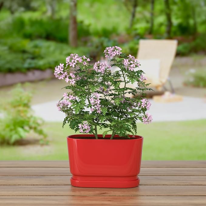 8.9" Rectangular Ceramic Planter with Drainage and Saucer, Red | Indoor Outdoor Use, 8.9"L x 4.5"W x 5.3"H, Modern Home Decor, Window Box Planter, Red Glossy Finish