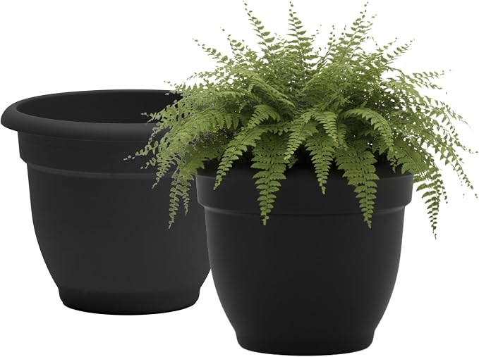 Bloem Ariana 12" Self-Watering Plastic Planter - Rolled Rim Indoor/Outdoor Garden Pot, Black, 2-Pack