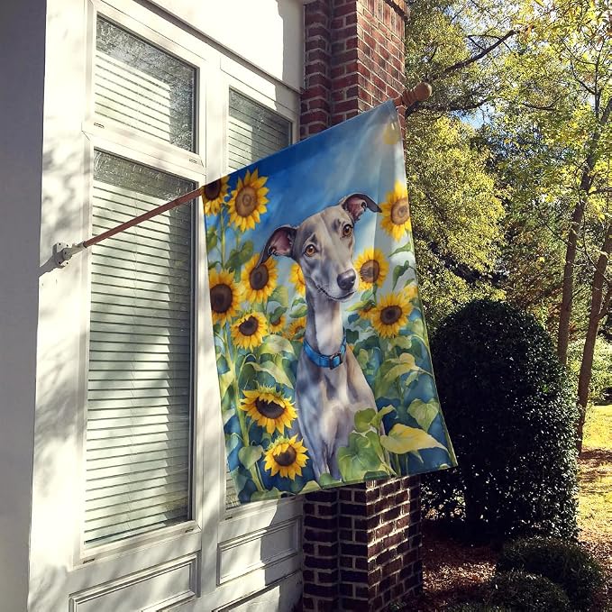 Caroline's Treasures DAC6176CHF Whippet in Sunflowers House Flag Large Porch Sleeve Pole Decorative Outside Yard Banner Artwork Wall Hanging, Polyester, House Size, Multicolor