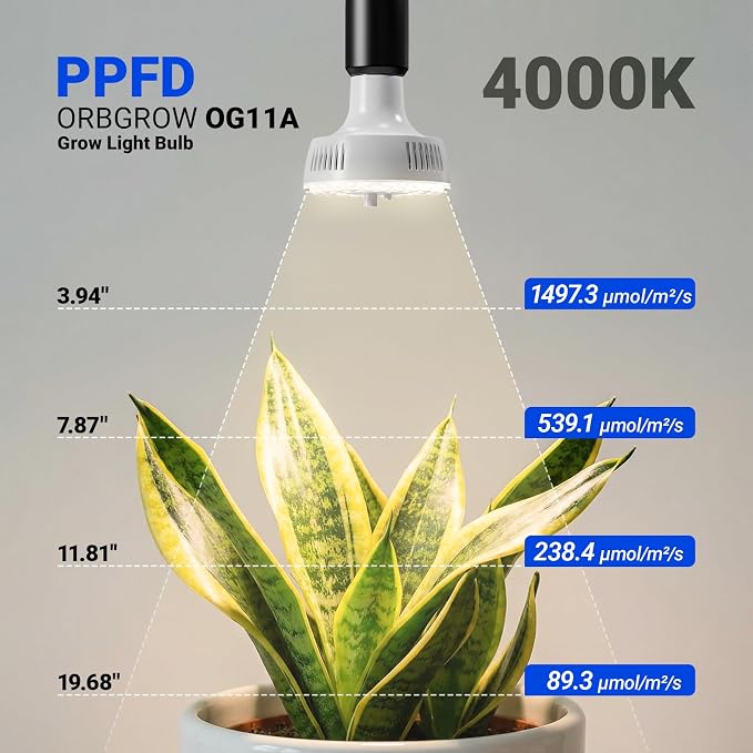 Barrina Orbgrow OG11A Grow Light Bulbs for Indoor Plants, Integrated Dimming & Timing, 4000K 22W(2 x 11W, 200 Watt Equiv), E26 Plant Light Bulb, Full Spectrum for Seeds and Greens, 2 Packs, White