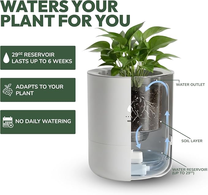 8 Inch Smart Self Watering Planter with WiFi Bridge & App Control – AI Plant Care System with Sensors, Automatic Watering, Alerts – Modern Indoor Planter for Houseplants | Cordless