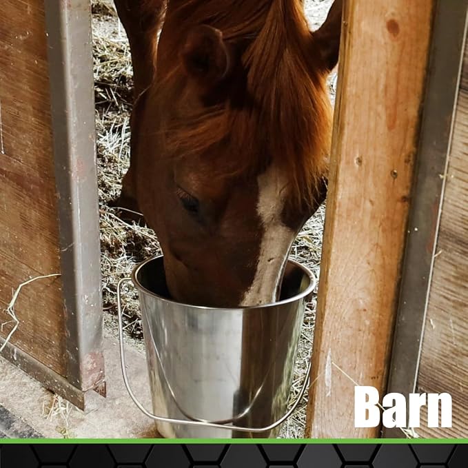 Grip Stainless Steel Bucket (5 Gallon)- Great for Pets, Cleaning, Food Prep - Hang on Fences, Cages, Kennels - Home, Garage, Workshop