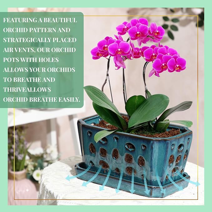 Teenyyou 1 Set Orchid Pot with Holes 9.5 Inch Ceramic Orchid Pot with Saucers for Repotting Amaryllis Flower Planter Include Gardening Shovel Set and Gloves for Home Decor(Blue)