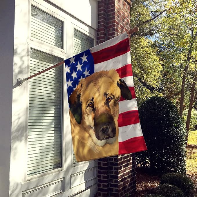 Caroline's Treasures CK6403CHF Anatolian Shepherd Dog American Flag House Flag Large Porch Sleeve Pole Decorative Outside Yard Banner Artwork Wall Hanging, Polyester, House Size, Multicolor