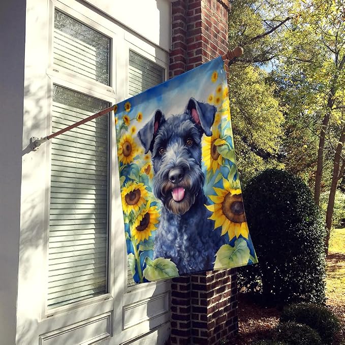 Caroline's Treasures DAC6106CHF Kerry Blue Terrier in Sunflowers House Flag Large Porch Sleeve Pole Decorative Outside Yard Banner Artwork Wall Hanging, Polyester, House Size, Multicolor