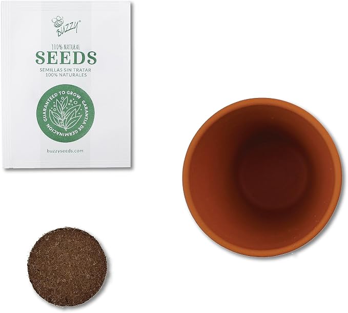 Buzzy Seeds Cactus Daydream Collection Grow Kit 6-Pack - Mini Terracotta Pot Grow Set - Complete Indoor Gardening Kit with Seeds, Coconut Husk Growing Medium & Genuine Pots - 100% Grow Guarantee