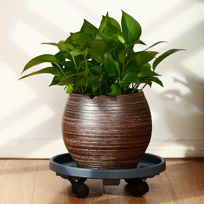5 Pakcs Large Plant Caddy with Wheels 15.8" Rolling Plant Stands Heavy-duty Plastic Plant Roller Base Pot Movers Plant Saucer on Wheels Indoor Outdoor Plant Dolly with Caster Tray Coaster Grey