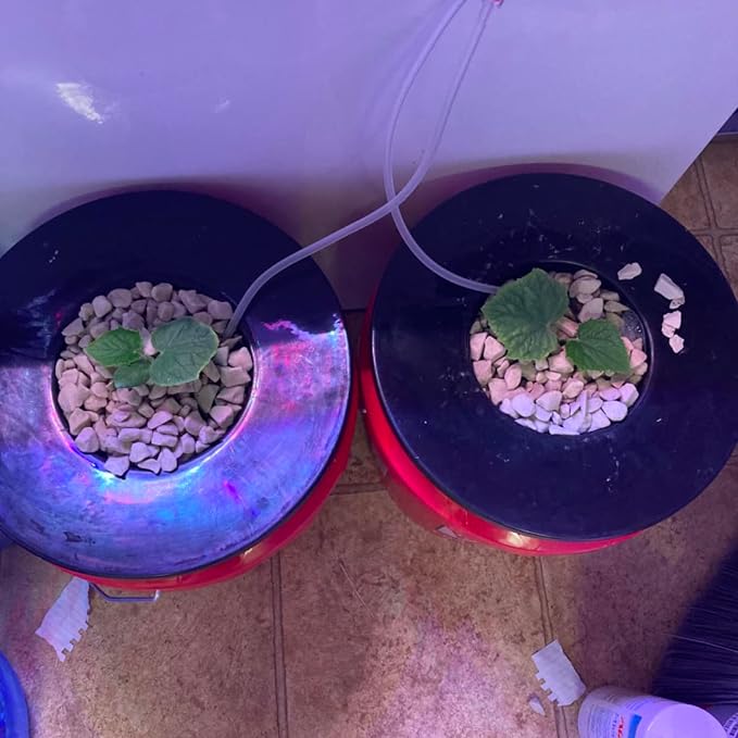 6 in. Wide Lip Bucket Basket (Pack of 5) | 5 Gallon Bucket Lids for DWC, Net Pots for Hydroponics