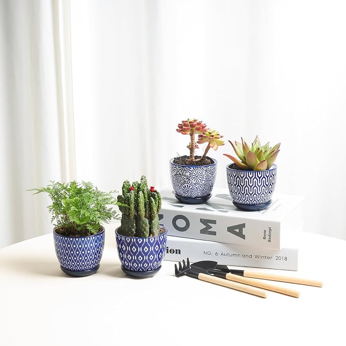 Selamica Ceramic Succulent Pots, 3.5 Inch Small Plant Pots for Indoor Plants Cactus Herbs, Succulent Planters with Drainage Holes & Saucers, Home Decor, Set of 6, Vintage Blue