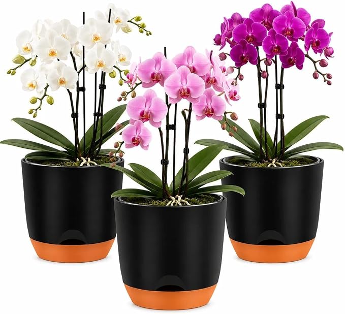 QCQHDU 7.2Inch Orchid Pots with Holes for Repotting, Double-Layer Plastic Self Watering Flower Pots for Indoor Plants with Drainage Holes, Clear Orchid Pot Match Decorative Orchid Container, 3 Packs