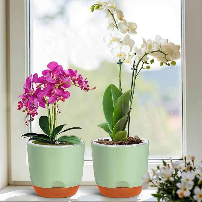 QCQHDU 5.7Inch Orchid Pots with Holes for Repotting, Double-Layer Plastic Self Watering Flower Pots for Indoor Plants with Drainage Holes, Clear Orchid Pot Match Decorative Orchid Container, 1 Pack