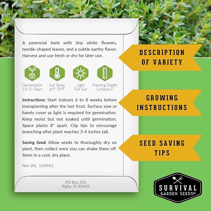 Thyme Seeds for Planting – Survival Garden Seeds (5 Packs) | English Thyme Seeds (Thymus Vulgaris) for Home Herb Gardens, Pots, and Kitchen Windowsills – Heirloom, Non-GMO