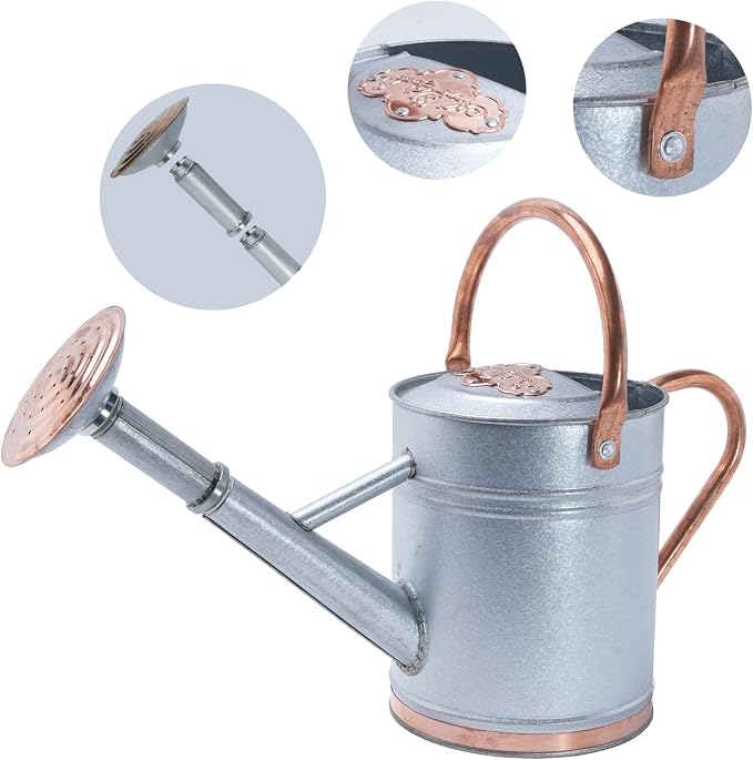 1 Gallon Metal Watering Can with Real Copper Details, Fine-Grid Galvalume Body, Removable Watering Rose for Indoor Plants, Patio and Greenhouse
