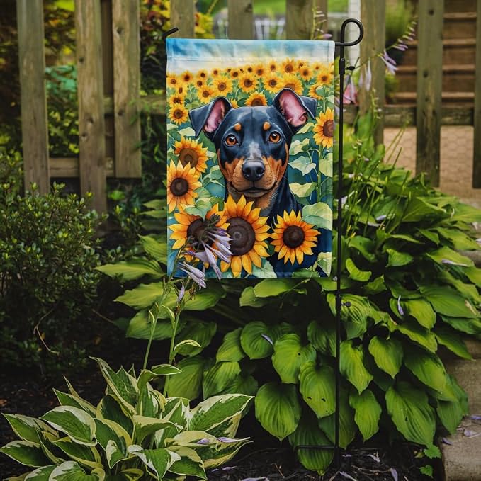 Caroline's Treasures DAC6119GF Manchester Terrier in Sunflowers Garden Flag Mailbox Flag Decorative Yard Flag Banner Outside Patio Artwork Yard Flower Beds, Garden Size, Multicolor