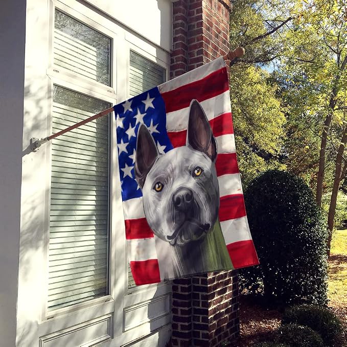 Caroline's Treasures CK6738CHF Thai Ridgeback American Flag House Flag Large Porch Sleeve Pole Decorative Outside Yard Banner Artwork Wall Hanging, Polyester, House Size, Multicolor