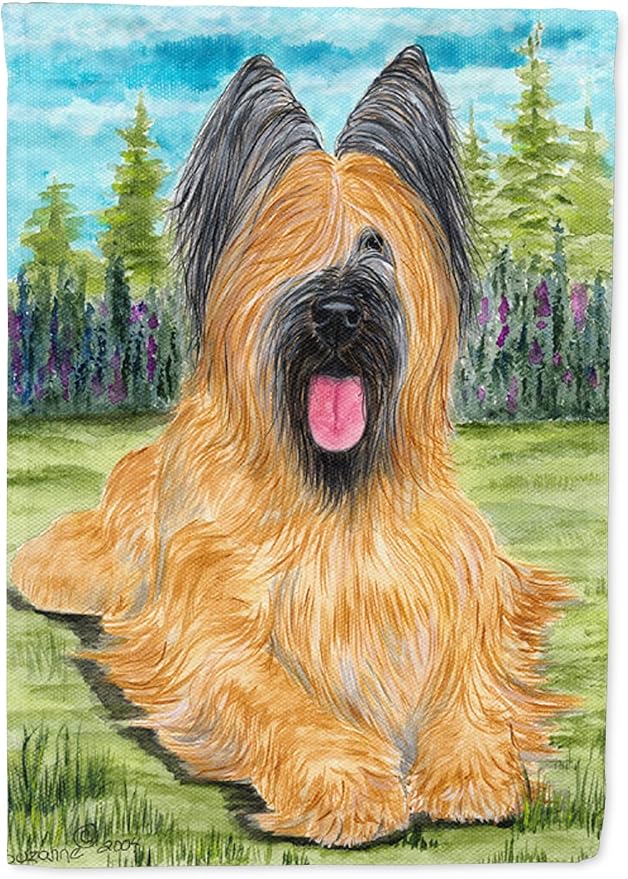 Caroline's Treasures SS8035GF Briard Garden Flag Mailbox Flag Decorative Yard Flag Banner Outside Patio Artwork Yard Flower Beds, Garden Size, Multicolor