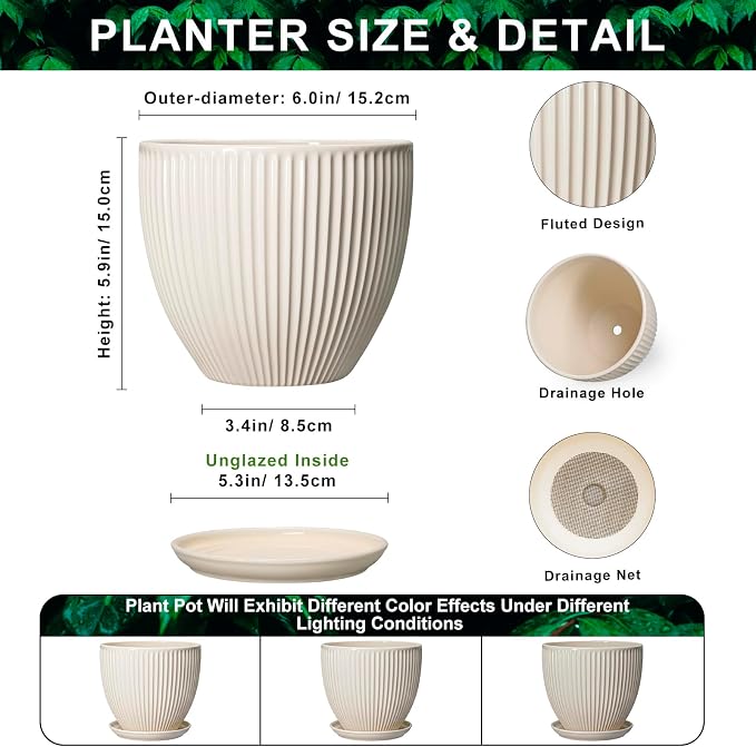 6 Inch Planter, Ceramic Pots for Plants Indoor, Decorative Plant Pots with Drainage Hole and Saucer, Round Flower Pot, Modern Small Planter, Office Decor, Gifts for Plant Lovers, Cream White