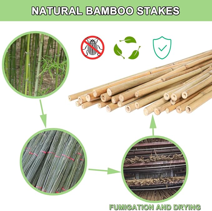 PFNRTH Bamboo Plant Stakes – 25pcs 4FT Natural Bamboo Garden Stakes for Tomatoes, Peppers, Beans, Indoor & Outdoor Plants, Sturdy Plant Support for Seedlings & Potted Plants