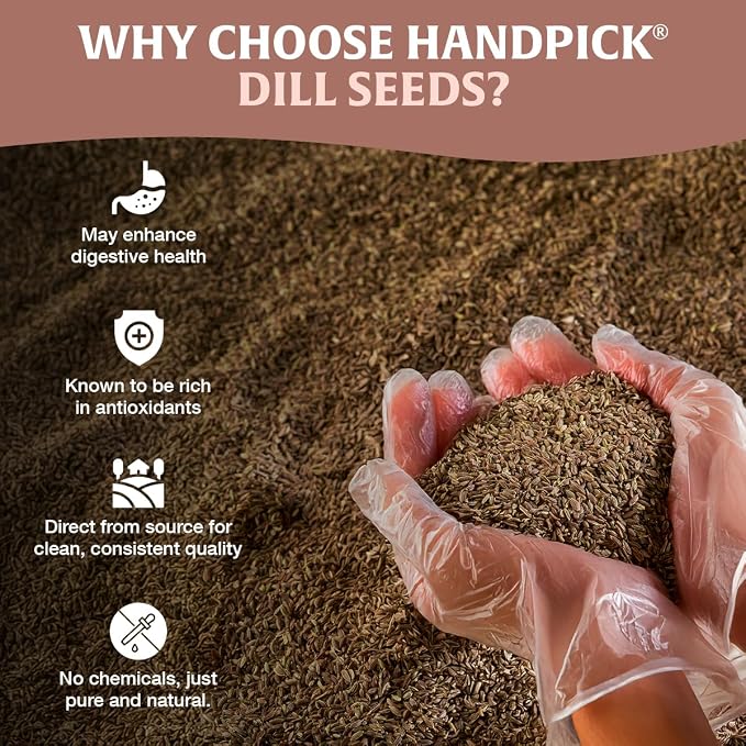 HANDPICK Dill Seeds (397g/14oz) Non GMO, Gluten Free, 100% Raw, Sourced from India, For Cooking, Drinks, Packed in Resealable Ziplock Pouch | For Pickling