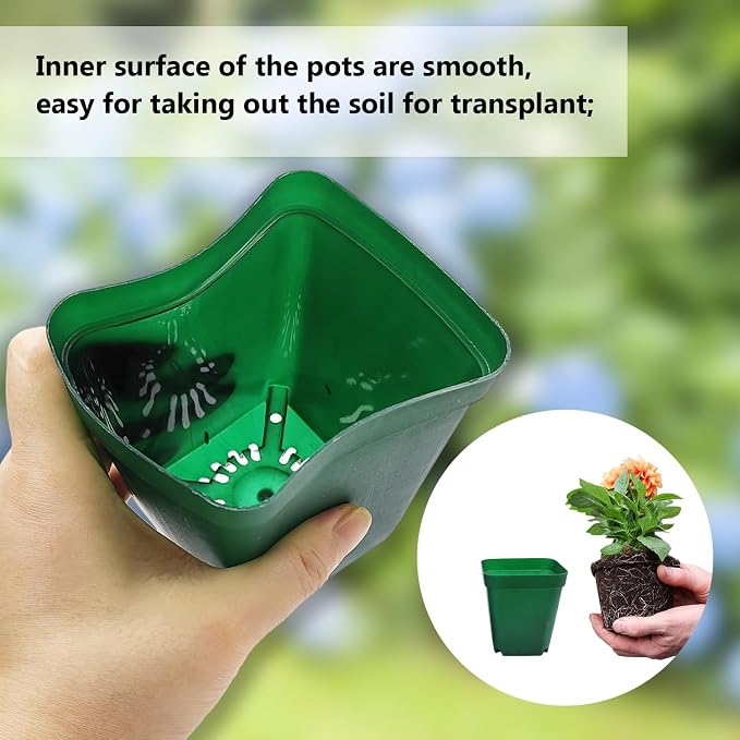 RooTrimmer Square Nursery Succulent Pots 4 Inches 60 Pcs Deep Flower Plant Nursery Seedling Grow Pots Plastic with Drainage (Green, 4Inches, 60Pcs)