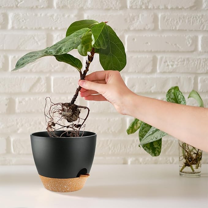 Self Watering Plants Pot with Drainage Hole, Flower Plants Pots for Indoor & Outdoor, Black Plastic Self Watering Planters Succulent Pot 5pcs/Set