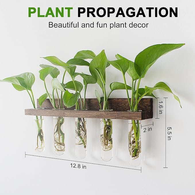 Renmxj Wall Hanging Plant Propagation Station 15 Glass Test Tubes - Brown | 3 Tiered Vase Planter for Hydroponic Home Garden Office Decor, Gardening Gifts for Women Plant Lover