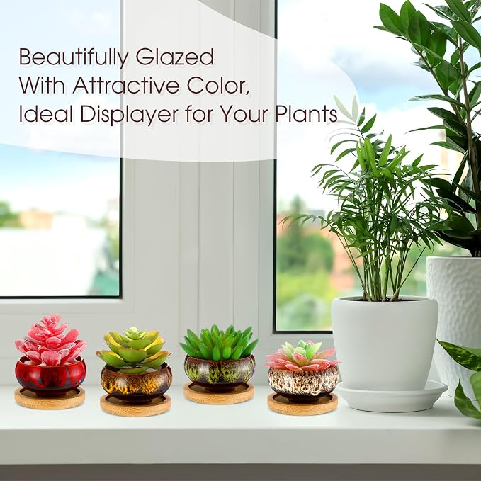 12 Pcs Succulent Pots 2.5 Inch Mini Ceramic Succulent Garden Flower Pots Planters with Drainage and Bamboo Tray for Indoor Garden Plants Planters Colorful Flower Pot(Round,1.2 Inch H)