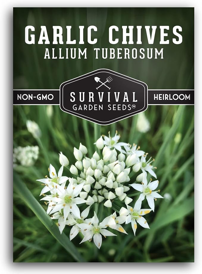 Garlic Chives Seeds for Planting - Heirloom Perennial Chinese Herb - Survival Garden Seeds (1 Pack)