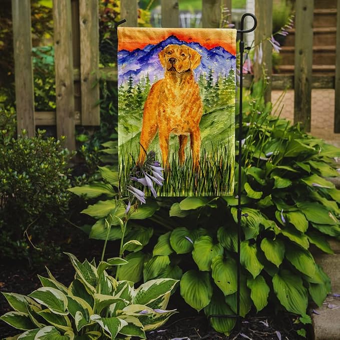 Caroline's Treasures SS8449GF Chesapeake Bay Retriever Garden Flag Mailbox Flag Decorative Yard Flag Banner Outside Patio Artwork Yard Flower Beds, Garden Size, Multicolor