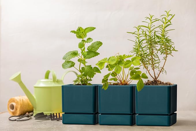 D'vine Dev 4 Inch Herb Planter Pot, Plastic Planter with Drainage Holes and Saucer, Modern Decorative Gardening Pot for Indoor Plants, Flowers, Herbs, Succulents, Green, Set of 3, 76-Y-C-3