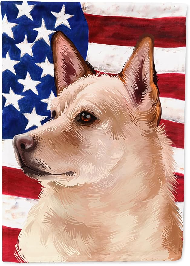 Caroline's Treasures CK6472CHF Canaan Dog American Flag House Flag Large Porch Sleeve Pole Decorative Outside Yard Banner Artwork Wall Hanging, Polyester, House Size, Multicolor